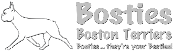 Bosties Boston Terriers